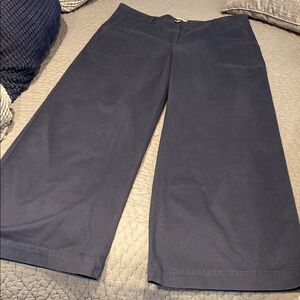 Ann Taylor weekend, wide leg pant, NWOT